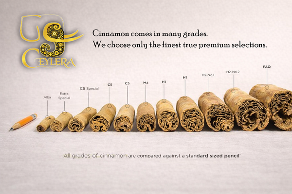 Les différentes catégories de cannelle : comment choisir la cannelle de Ceylan de qualité supérieure en toute confiance