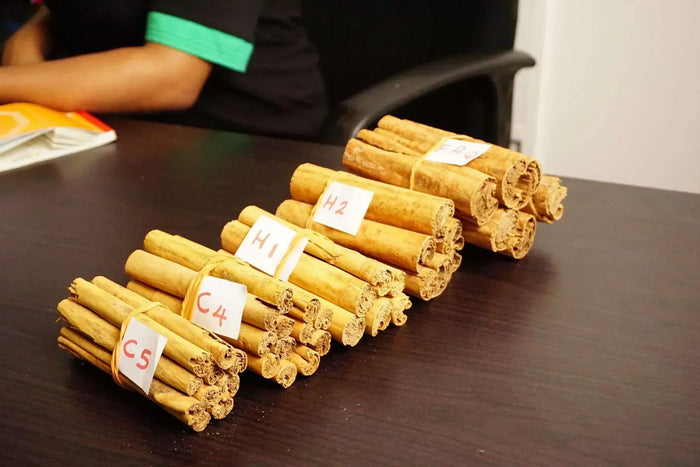 Ceylera Ceylon cinnamon processing and grading – how cinnamon grades are determined from Sri Lankan harvest
