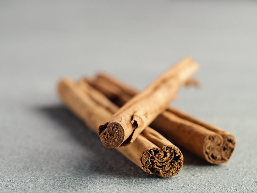 True Ceylon cinnamon quills from Sri Lanka next to cassia cinnamon sticks showing the difference in colour and layers