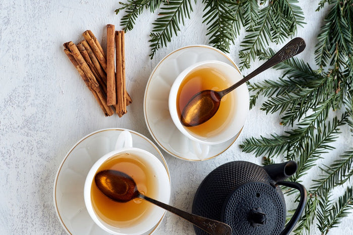 Teacup with Ceylon cinnamon sticks and evergreen branches – easy Ceylon cinnamon tea recipe for a cozy daily ritual