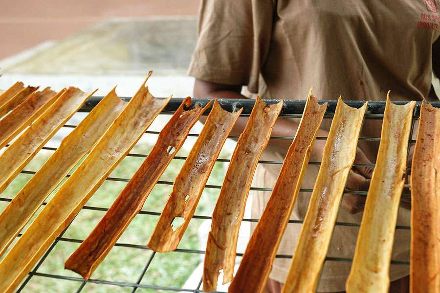 Ceylon cinnamon quills drying naturally under sunlight in Sri Lanka to preserve aroma and flavor.