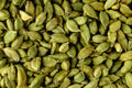Fresh green cardamom pods – Ceylera Reserve, hand-selected for elegance and aroma